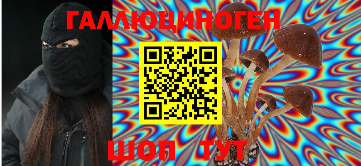 Псилоцибиновые грибы Cubensis  Галлюциногенные грибы Psilocybe  даркнет сайт  Вход с VPN  Губкинский 