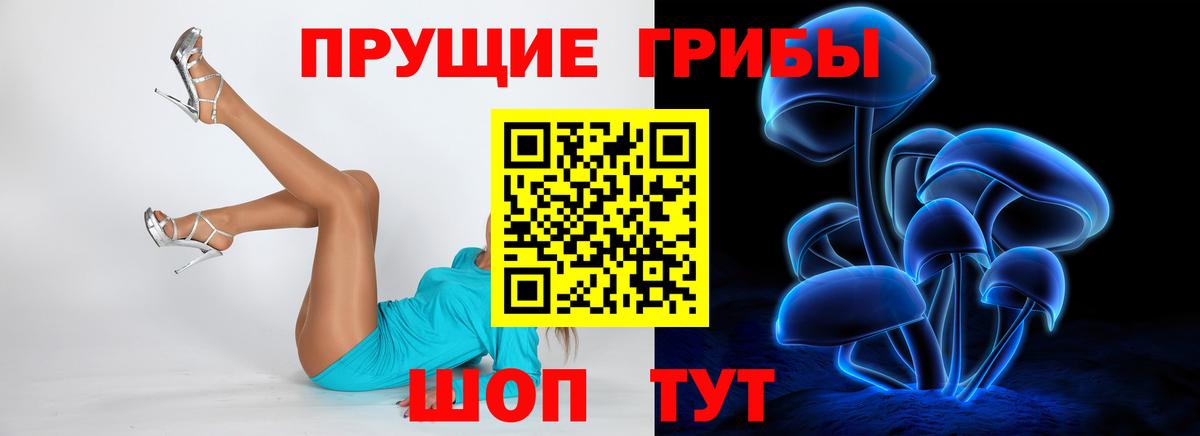 Псилоцибиновые грибы Psilocybine cubensis Губкинский